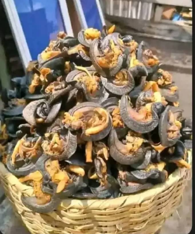 Dehydrated Snails